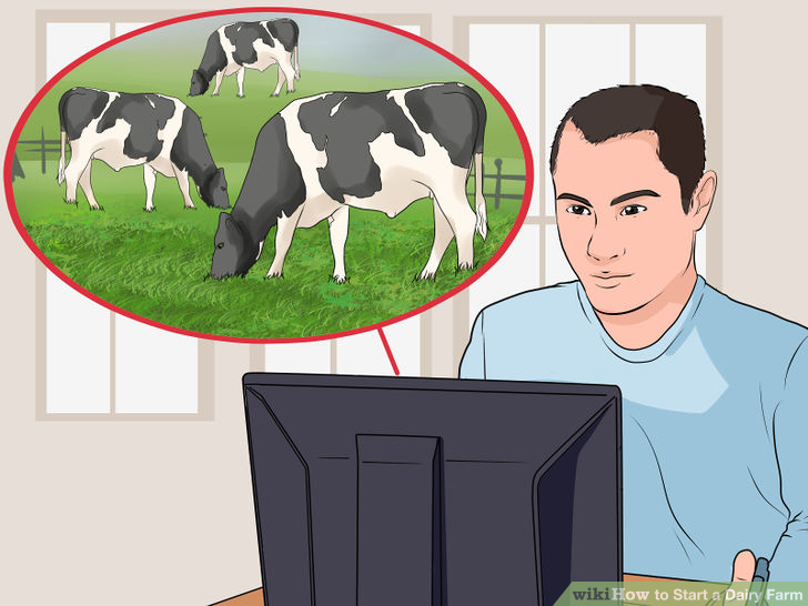 How to Start a Dairy Farm